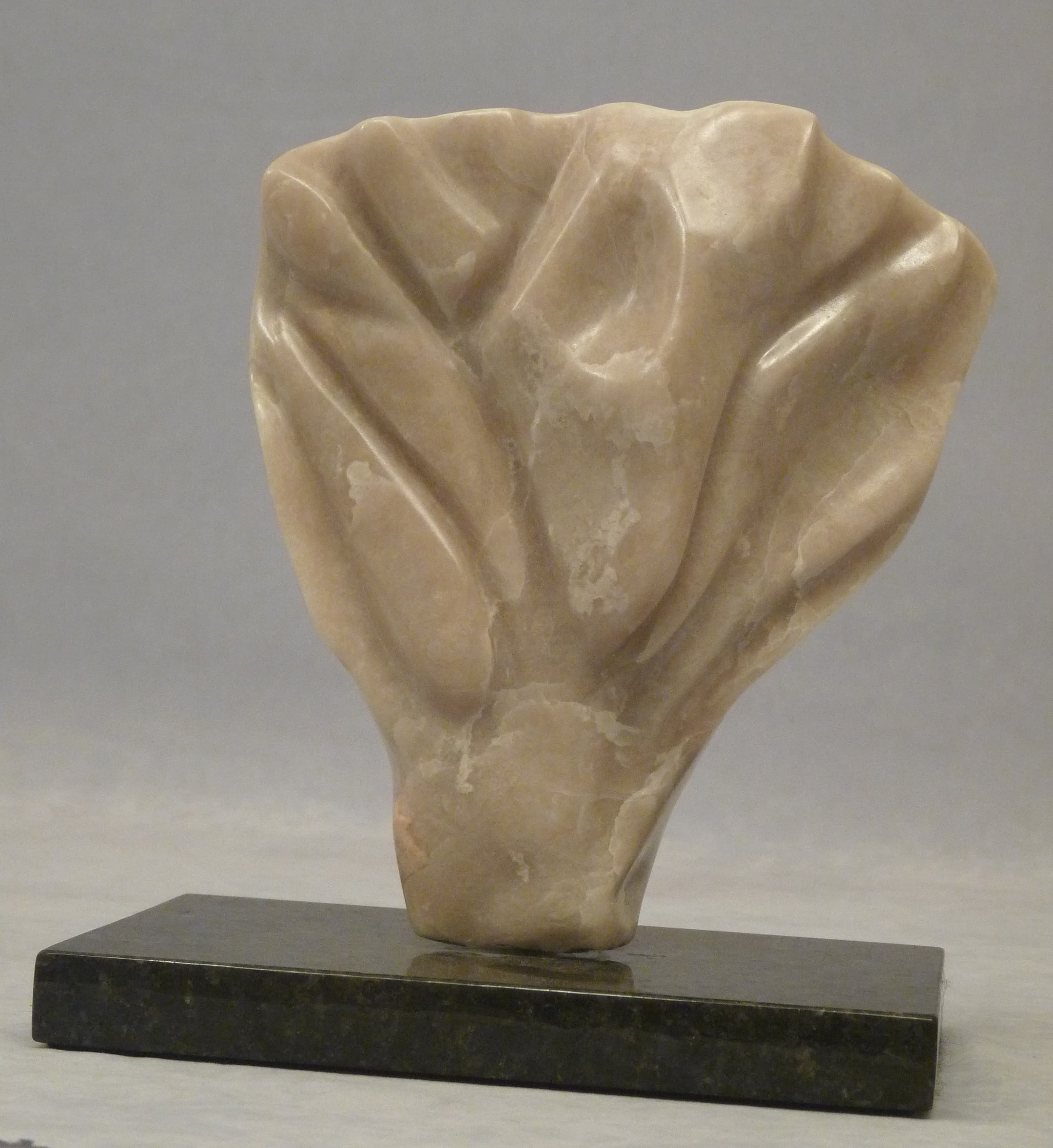 Tree of life, large